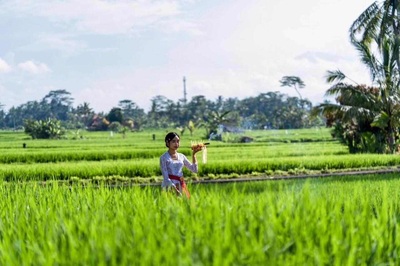 Kubu Bali Baik Villa & Resort - Chse Certified Ubud  Exterior photo